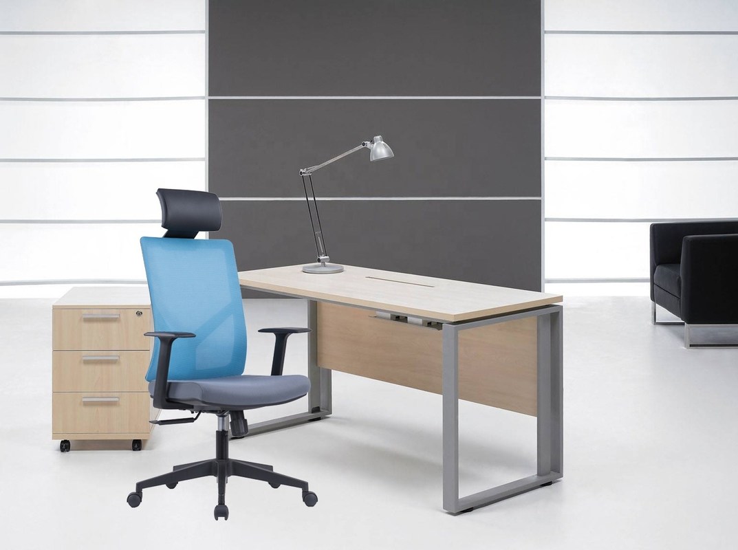 Office Manager's Choice Adjustable High Back Executive Office Chair with Lumbar Support